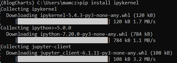 pip install ipykernel