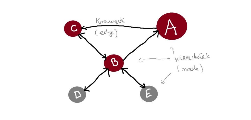 network graph / diagram sieci