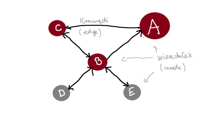 network graph / diagram sieci
